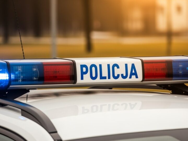 Trzymiesięczny areszt dla oprawcy: przemoc domowa i znęcanie się nad zwierzętami w Lesku