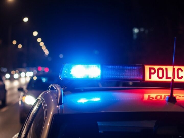 Policyjne patrole narciarskie dbają o bezpieczeństwo na stokach Bieszczadów