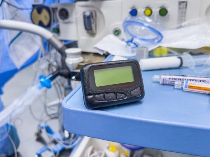 Psy policyjne w akcji: Jak pracują bohaterowie na czterech łapach?