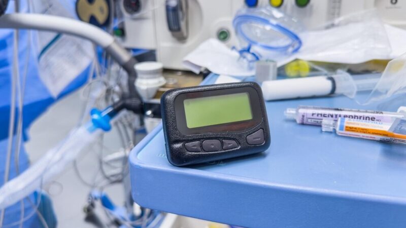 Psy policyjne w akcji: Jak pracują bohaterowie na czterech łapach?