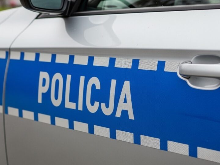 Bezpieczne Bieszczady: Akcja „Wieniec” w obronie dzikiej fauny