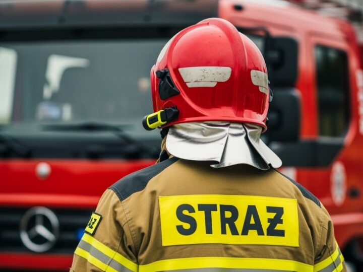 Policjanci uratowali Bieszczady przed pożarem łąki