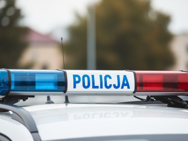 Siedem zarzutów dla 42-latka: Areszt na trzy miesiące za serię przestępstw w Nowej Sarzynie