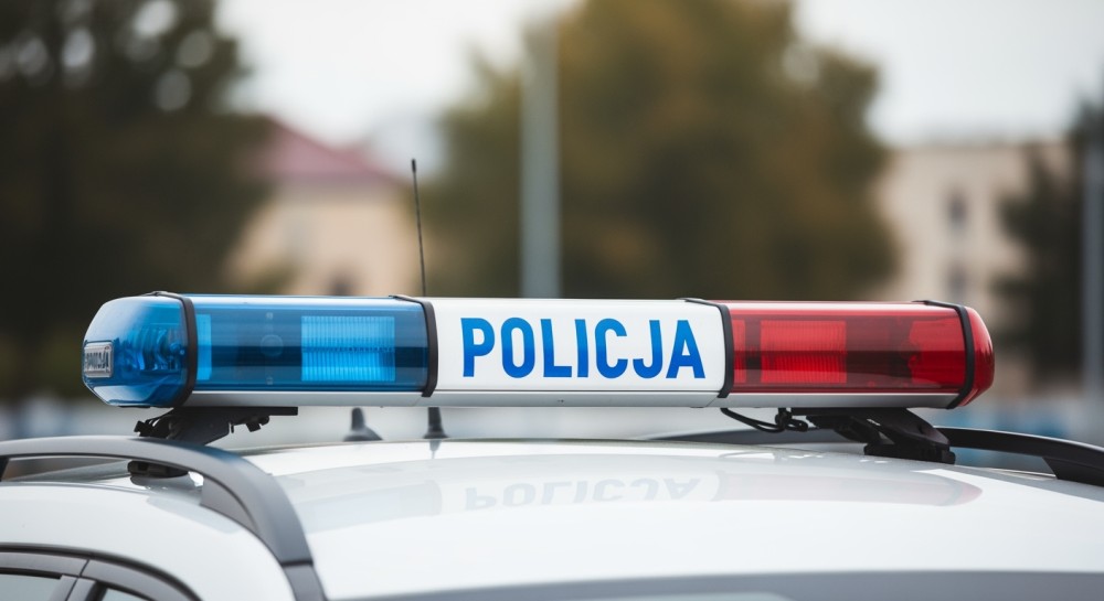 Siedem zarzutów dla 42-latka: Areszt na trzy miesiące za serię przestępstw w Nowej Sarzynie