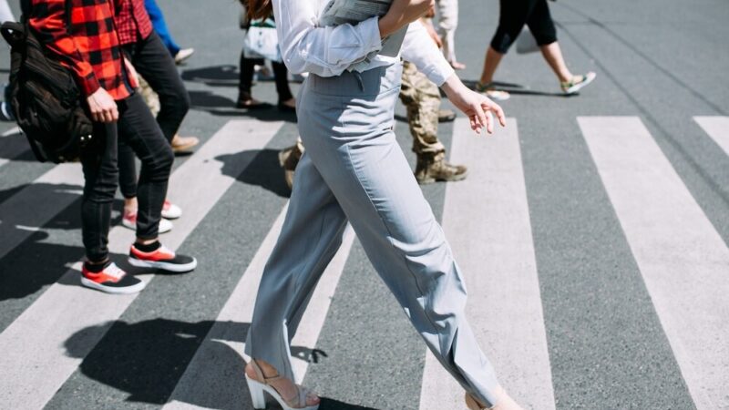 Zwierzęta na drodze: Uważaj na sarny i inne dzikie zwierzęta!