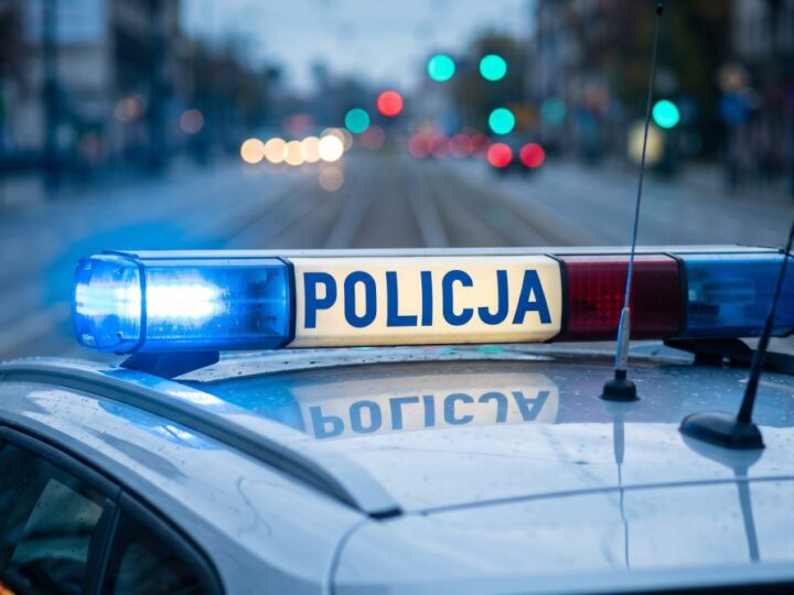 Rowerzysta z promilem i kradzionym rowerem w Nisku