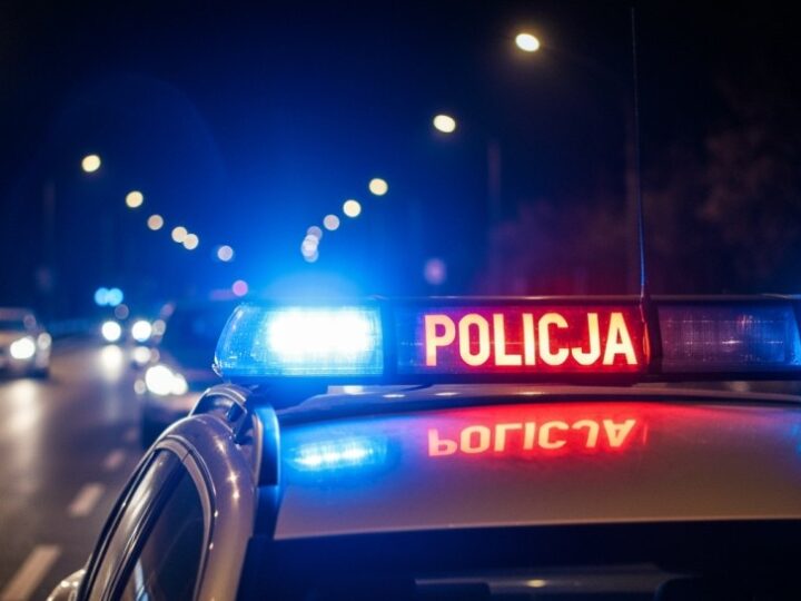 Wyrok w trybie przyśpieszonym dla nietrzeźwego obywatela Litwy